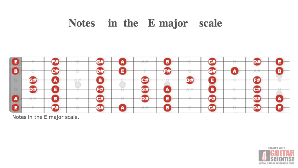 "Notes in the E major scale" - Fretboard Diagram Shared by anonymous user Using an old version of the Guitar Scientist Generator: The free online Fretboard Diagram Generator
